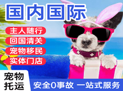 喀什航空货运国际宠物托运 【国